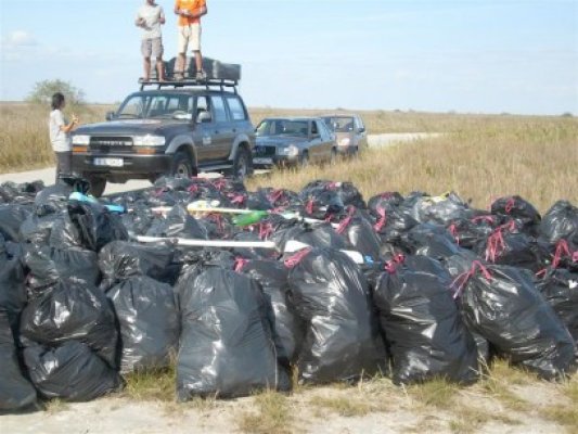 Petrom curăţă plaja de la Corbu de gunoaie